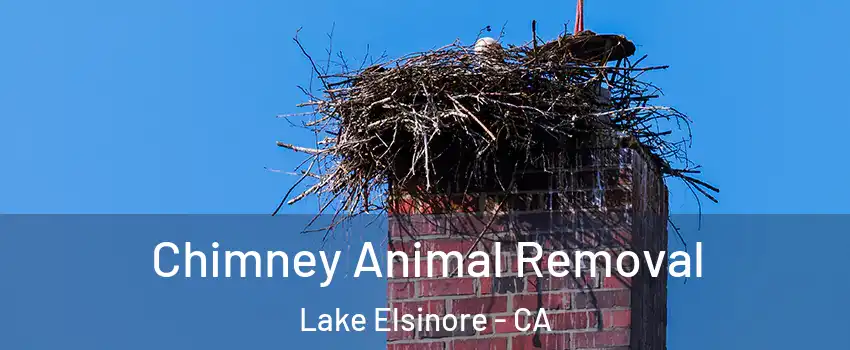 Chimney Animal Removal Lake Elsinore - CA