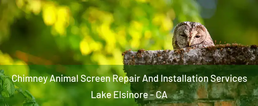  Chimney Animal Screen Repair And Installation Services Lake Elsinore - CA