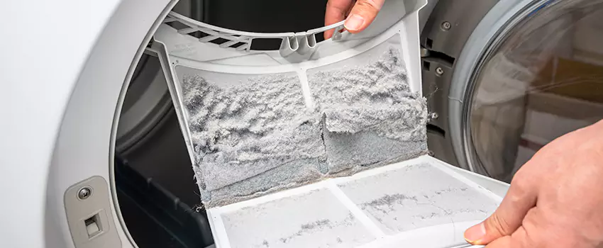 Best Dryer Lint Removal Company in Lake Elsinore, California